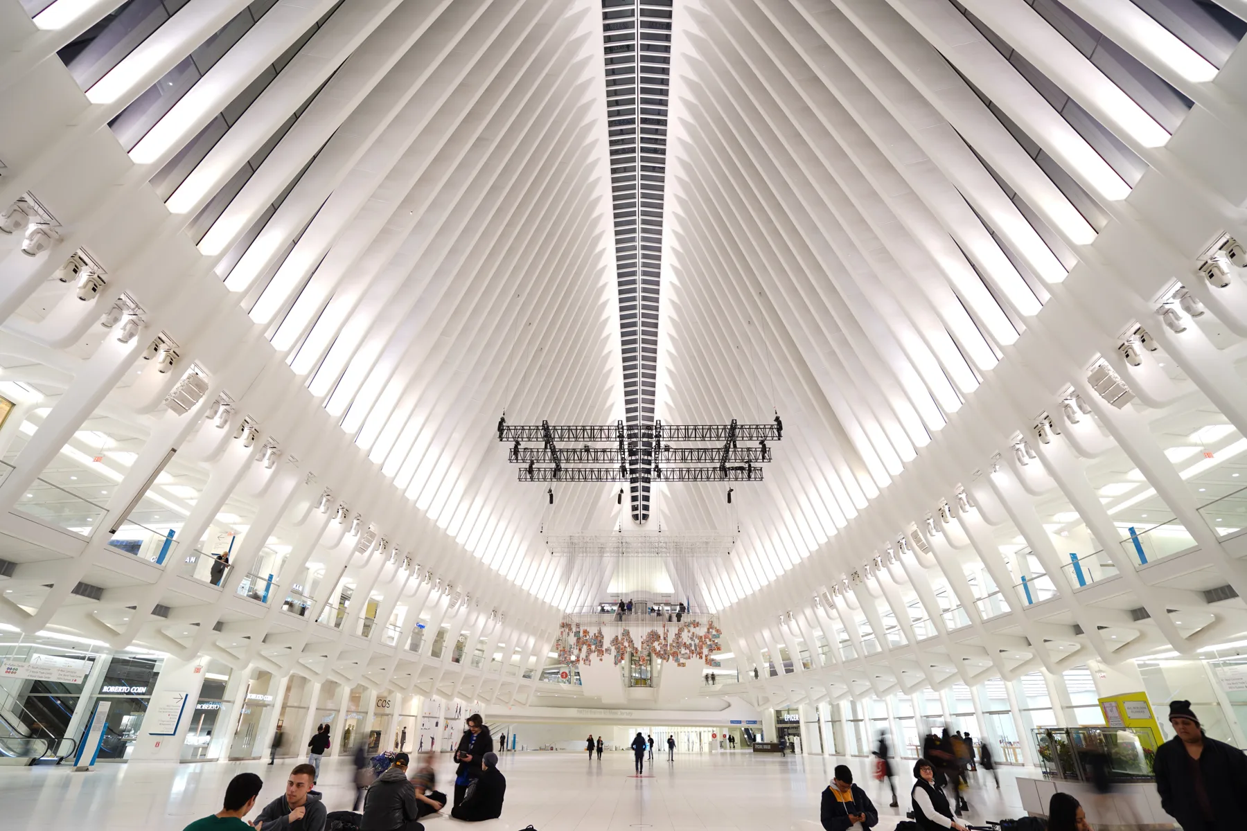 Oculus installation by Michael Murphy