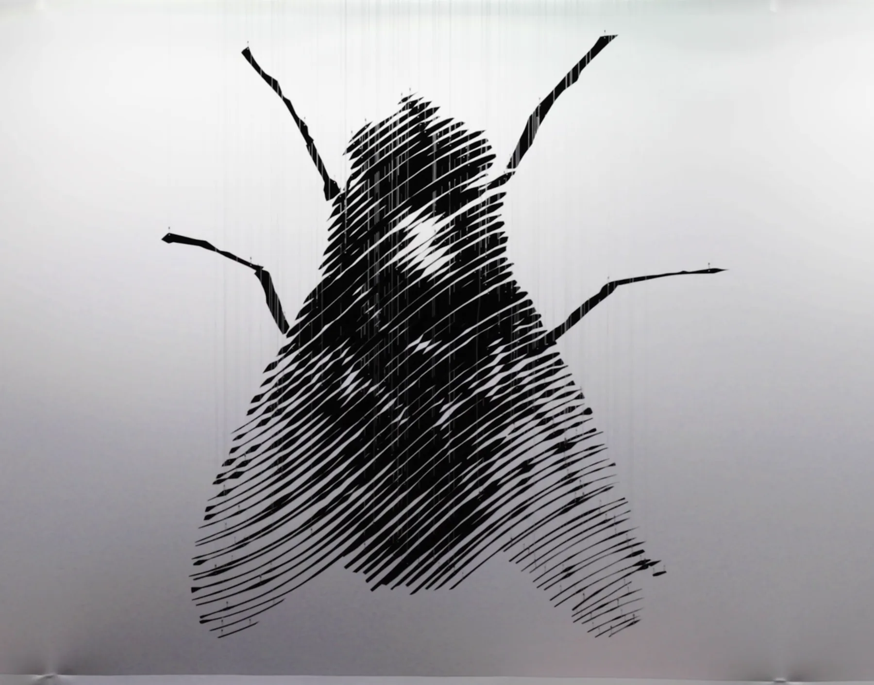 Fly — perceptual sculpture by Michael Murphy