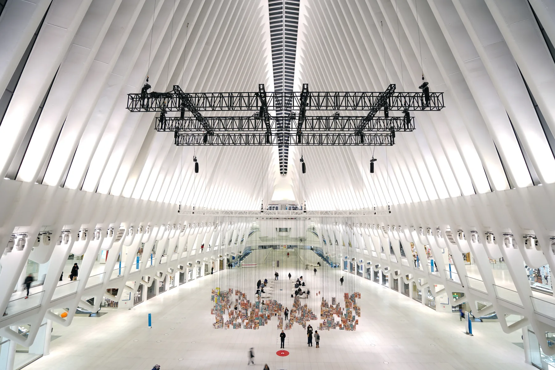 Oculus installation by Michael Murphy